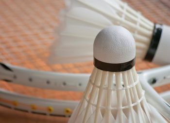 羽动青春，聚力同行 —— 盛阳通羽毛球团建比赛圆满落幕